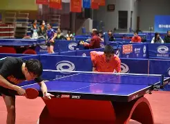 乒乓球大师赛，塞外海豚队与东城铁骑队大胜，阵地战处理得当！本土核心状态回升